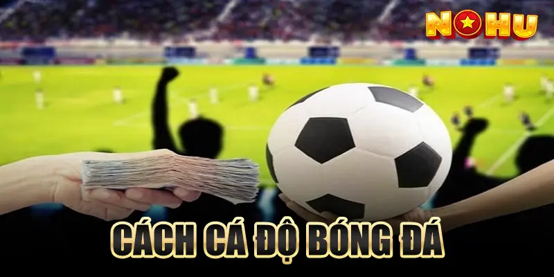 Top 4 Cách Cá Độ Bóng Đá Thắng Đến 99% Bạn Chưa Biết