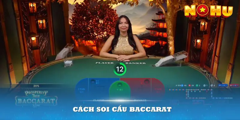 Cách soi cầu Baccarat - Bí quyết thắng từ cao thủ NOHU90